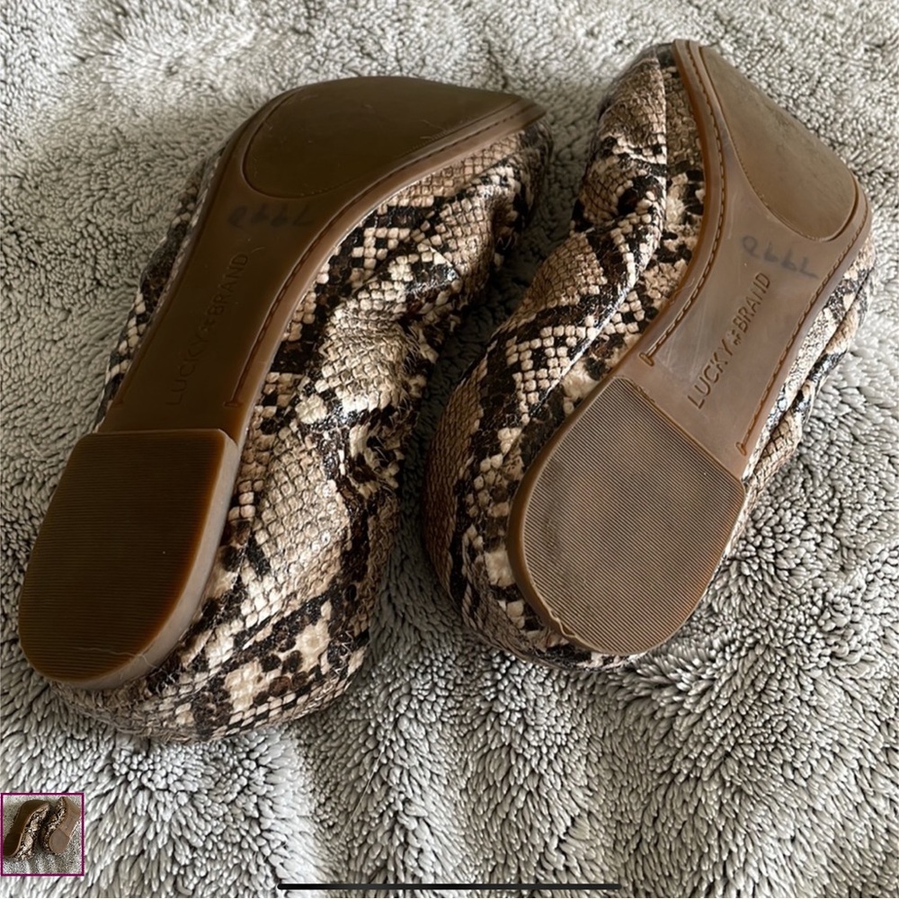 Snakeskin Print Lucky Brand Ballet Flats - Picture 3 of 3